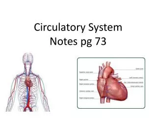 Circulatory System Notes pg 73