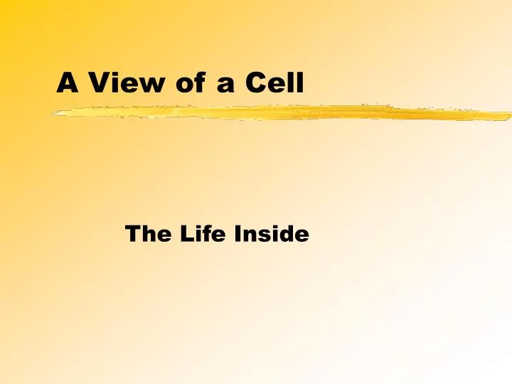 a view of a cell