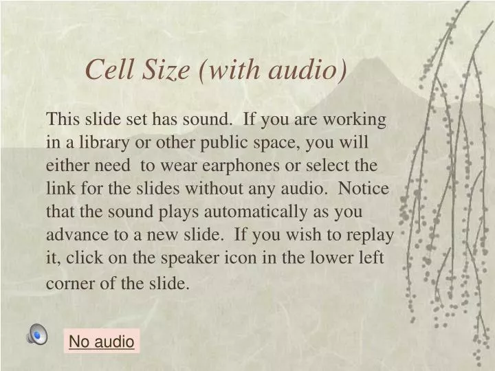 cell size with audio