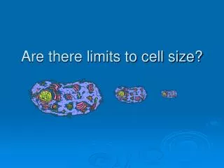 Are there limits to cell size?