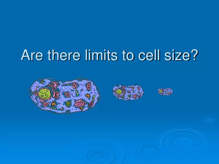 are there limits to cell size