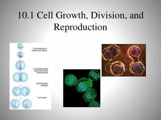 10.1 Cell Growth, Division, and Reproduction