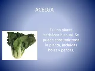 ACELGA