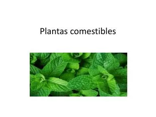 plantas comestibles