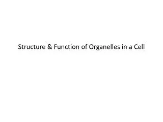 Structure &amp; Function of Organelles in a Cell