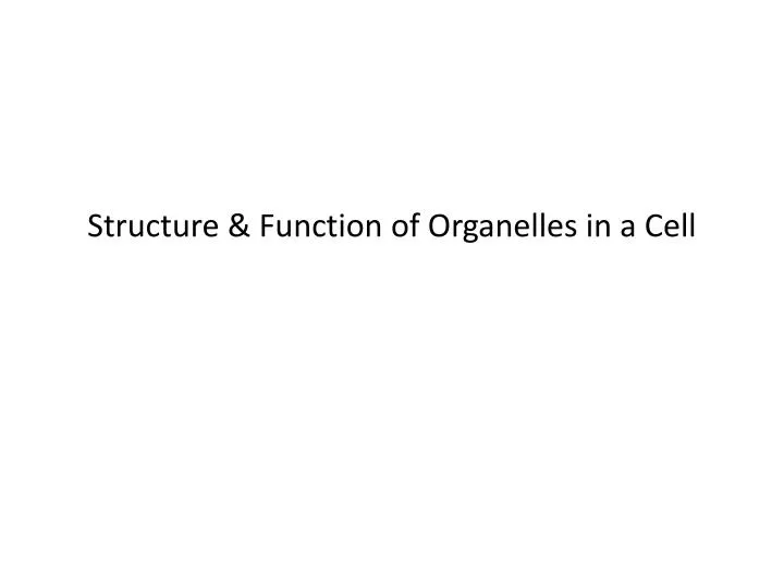 structure function of organelles in a cell