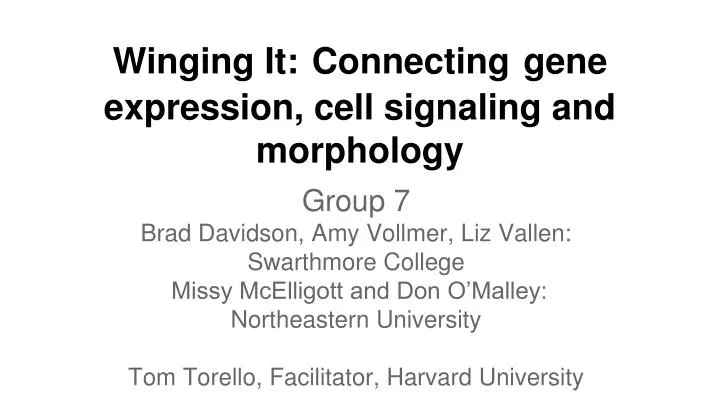 winging it connecting gene expression cell signaling and morphology