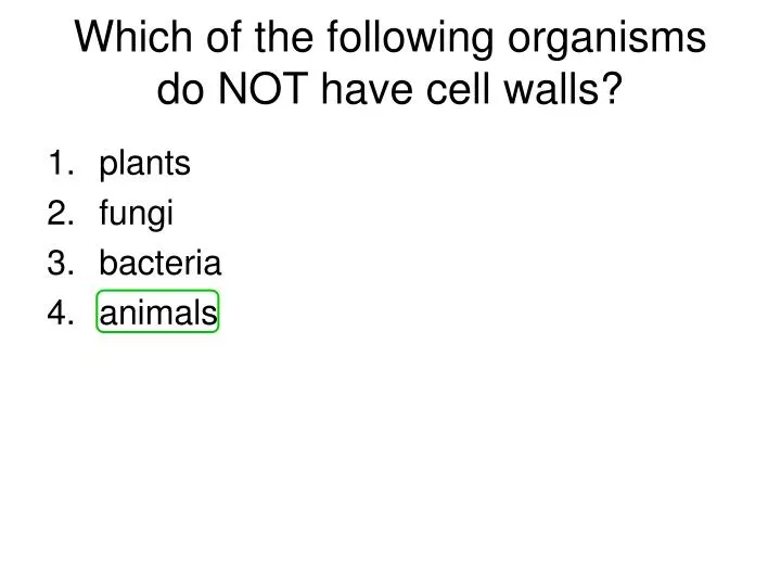 which of the following organisms do not have cell walls