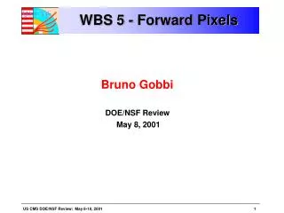 WBS 5 - Forward Pixels