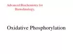 Oxidative Phosphorylation - slide 1