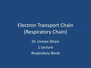 Electron Transport Chain (Respiratory Chain)