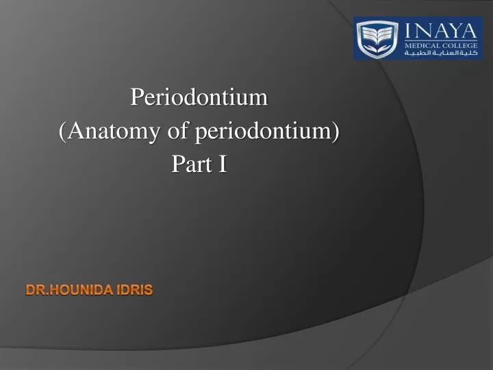 periodontium anatomy of periodontium part i