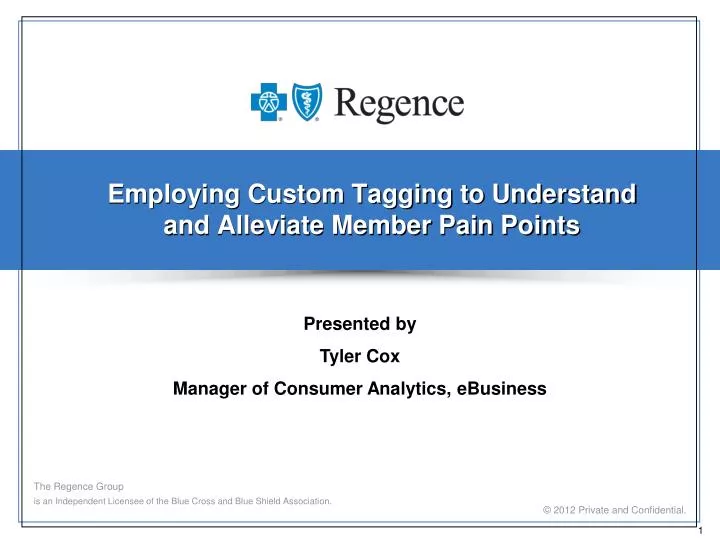 employing custom tagging to understand and alleviate member pain points