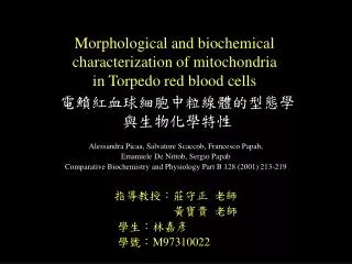 Morphological and biochemical characterization of mitochondria in Torpedo red blood cells