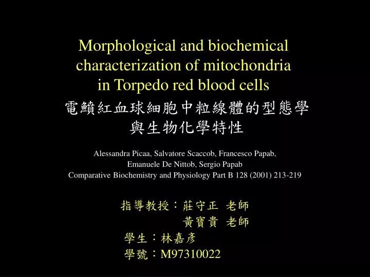 morphological and biochemical characterization of mitochondria in torpedo red blood cells