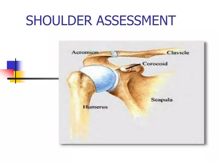 shoulder assessment