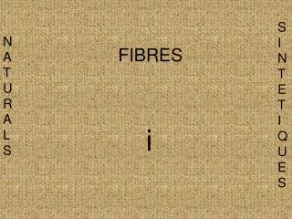 fibres