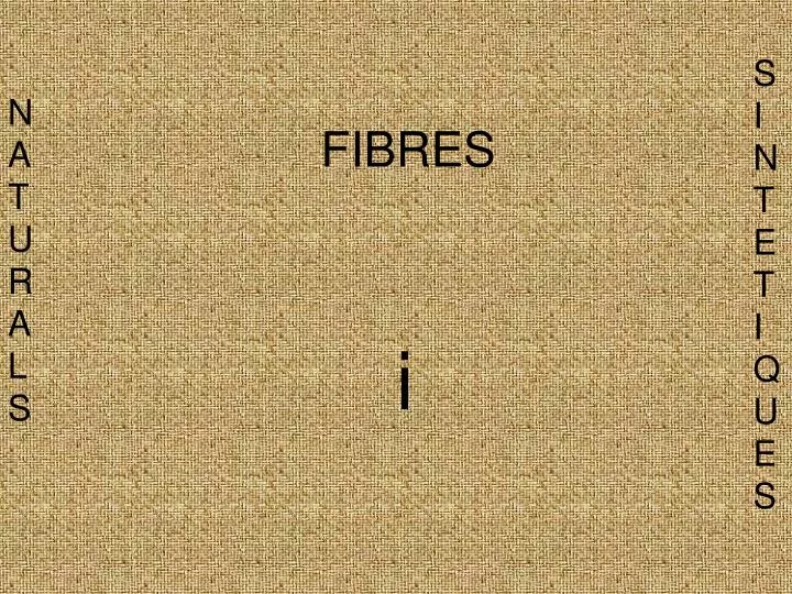 fibres