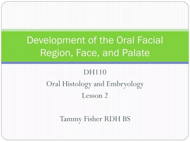 development of the oral facial region face and palate