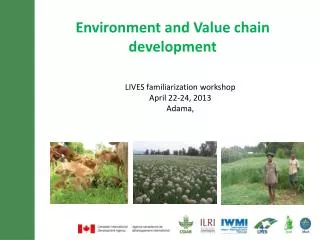 Environment and Value chain development