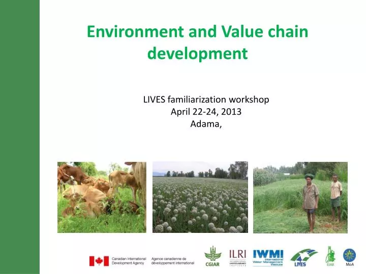 environment and value chain development