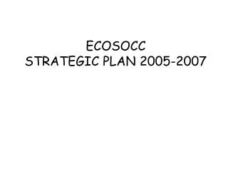 ECOSOCC STRATEGIC PLAN 2005-2007
