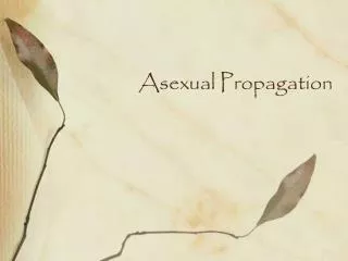 Asexual Propagation