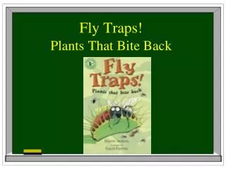 Fly Traps!