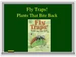 Fly Traps! - slide 1