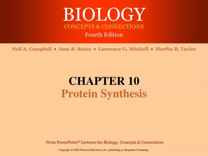chapter 10 protein synthesis