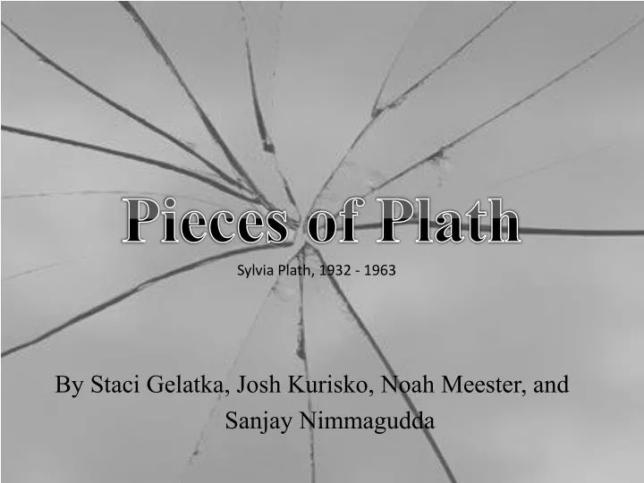 pieces of plath