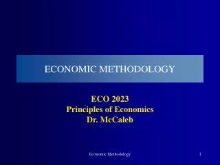 ECONOMIC METHODOLOGY