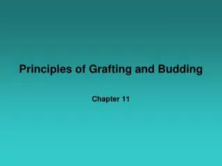 Principles of Grafting and Budding