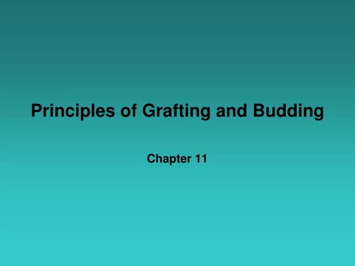 principles of grafting and budding
