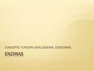 concepto funcion catalizadora coenzimas