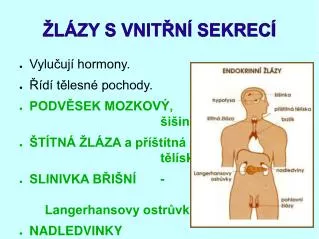 l zy s vnit n sekrec