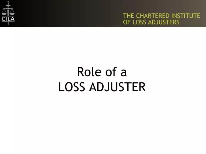 role of a loss adjuster