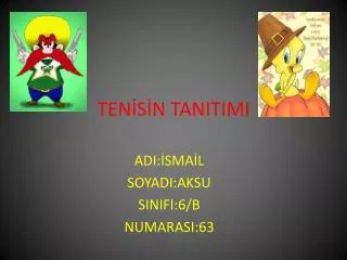 ten s n tanitimi
