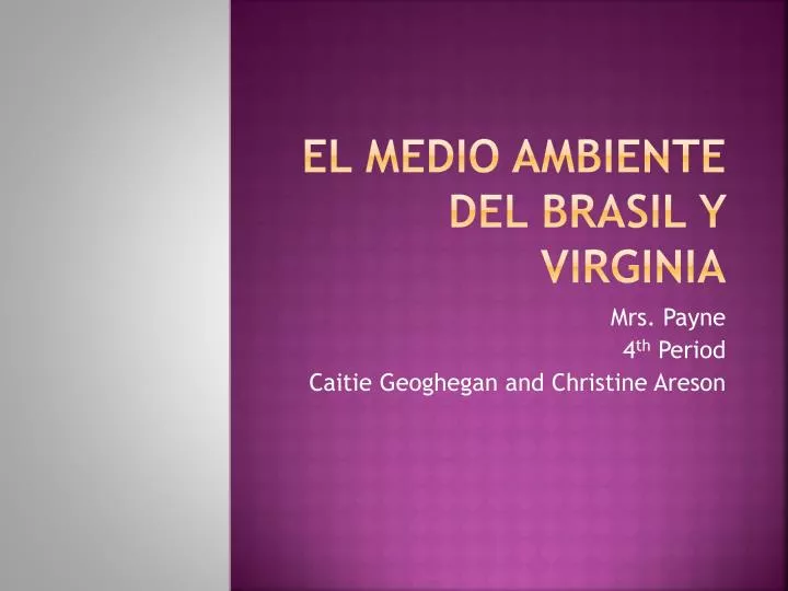 el medio ambiente del brasil y virginia