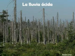 la lluvia cida