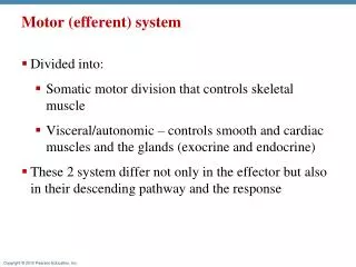 motor efferent system