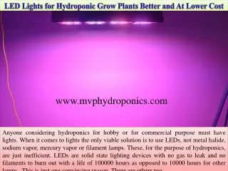 LED Lights for Hydroponic Grow Plants Better and At A Lower