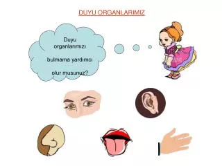 duyu organlarimiz