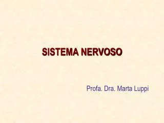 sistema nervoso