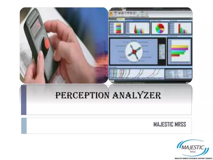 perception analyzer