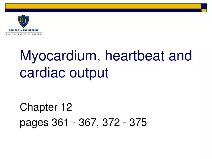 myocardium heartbeat and cardiac output