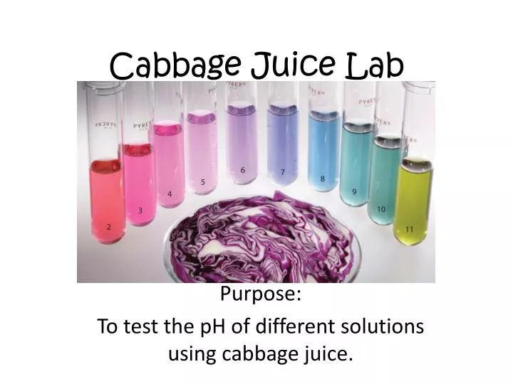 cabbage juice lab