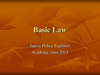 Basic Law