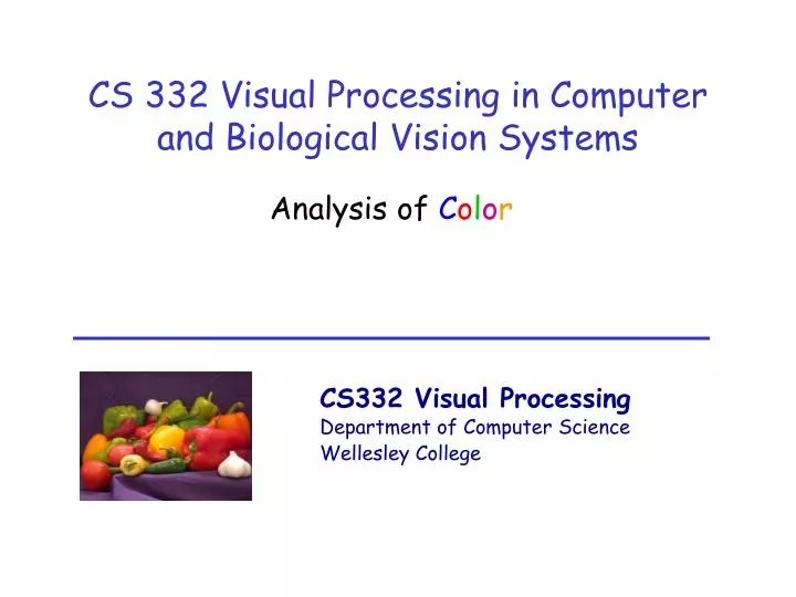 cs 332 visual processing in computer and biological vision systems