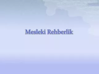 mesleki rehberlik